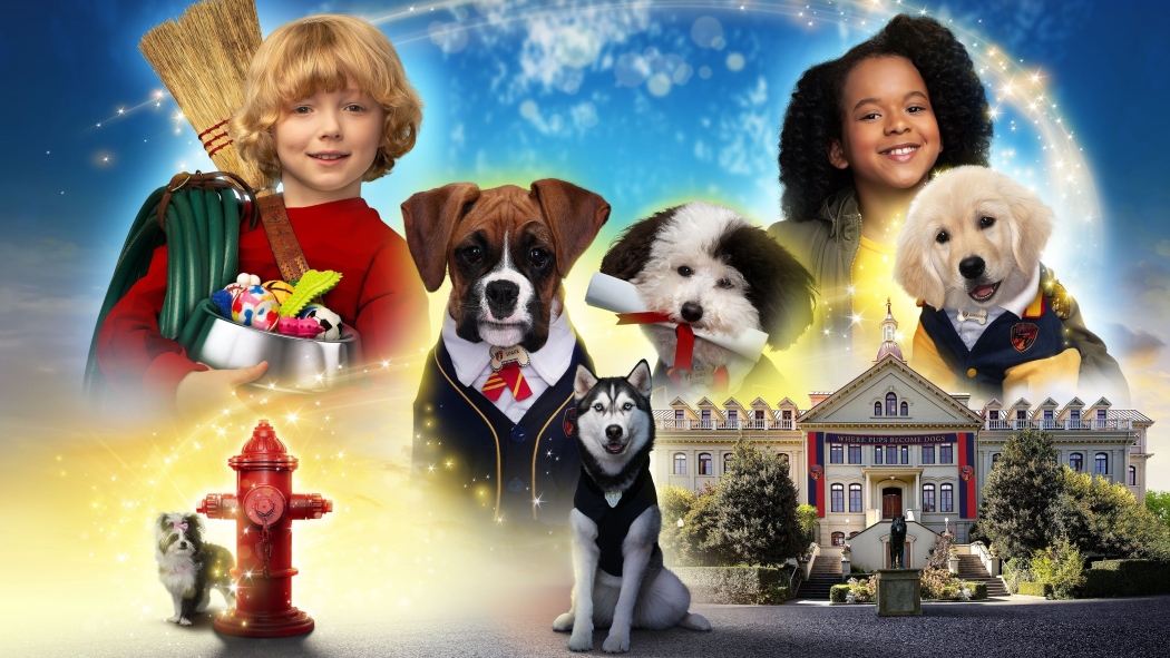 Pup Academy 1. Sezon 1. Bölüm izle