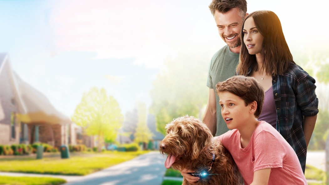 Think Like a Dog izle